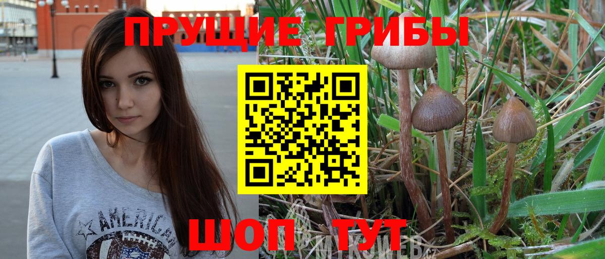 Псилоцибиновые грибы Psilocybine cubensis  Вход с VPN  Нижний Тагил 